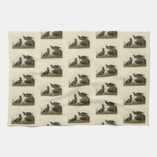 Harlequin Duck - from Audubon's Birds of America Kitchen Towel