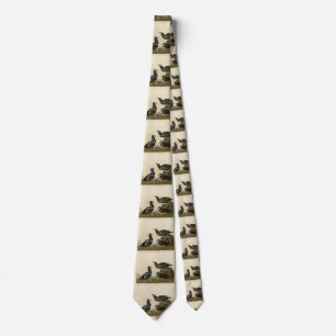 Harlequin Duck - from Audubon's Birds of America Neck Tie