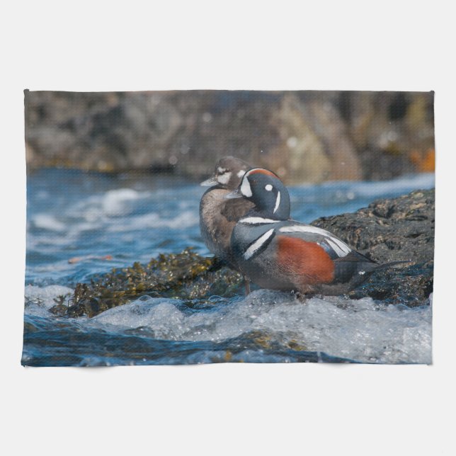 Harlequin Duck in ocean surf Kitchen Towel (Horizontal)