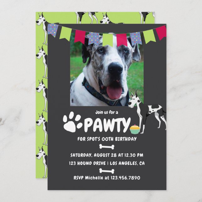 Harlequin Great Dane Birthday photo invitation (Front/Back)