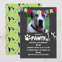 Harlequin Great Dane Birthday photo invitation