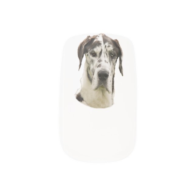 Harlequin Great Dane dog photo Minx Nail Art (Left Thumb)
