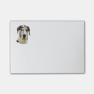 Harlequin Great Dane dog photo Post-it Notes