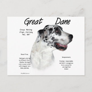 Harlequin Great Dane History Design Postcard