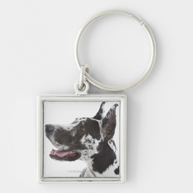 Harlequin Great Dane Keychain (Front)
