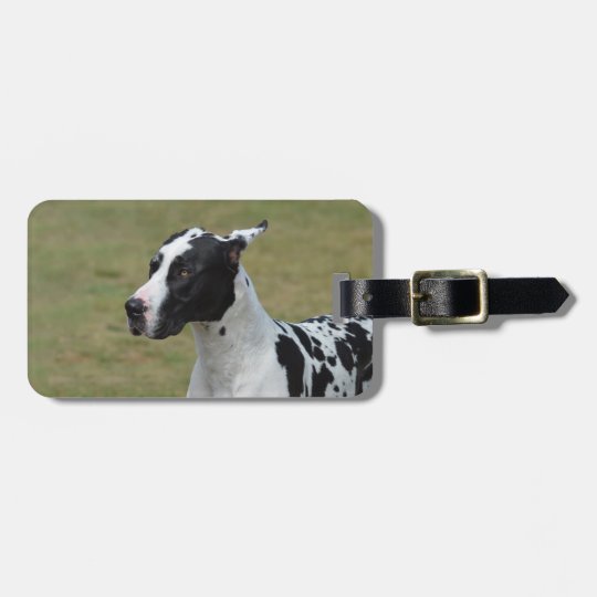 Great Dane Accessories Zazzle