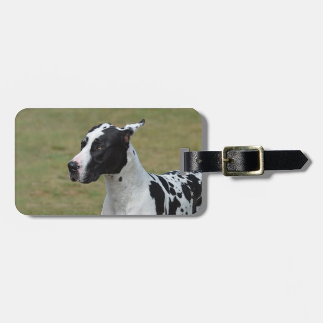 Harlequin Great Dane Luggage Tag (Front Horizontal)