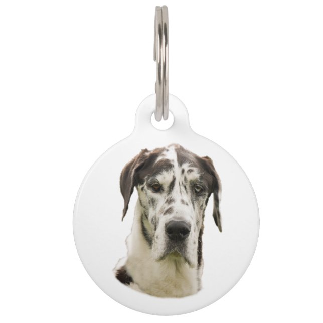 Harlequin Great Dane Pet Portrait ID Tag (Front)