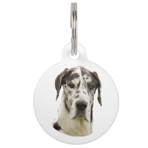 Harlequin Great Dane Pet Portrait Pet ID Tag