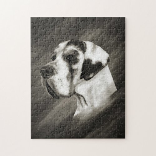 Harlequin Great Dane Portrait Jigsaw Puzzle