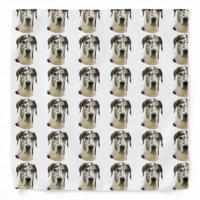 Harlequin Great Dane Portrait Photo