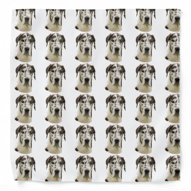 Harlequin Great Dane Portrait Photo Bandana (Front)