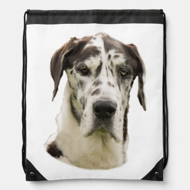 Harlequin Great Dane Portrait Photo Drawstring Bag (Front)