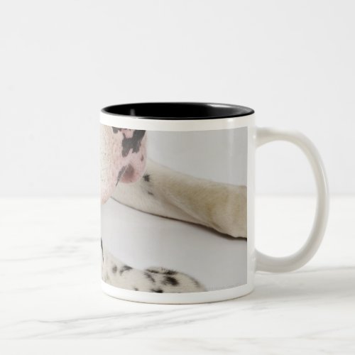 Harlequin Great Dane puppy sleeping on mother Two_Tone Coffee Mug