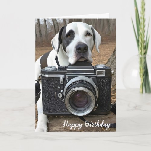 Harlequin Great Dane With Camera Card