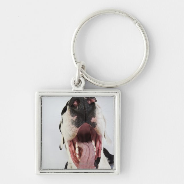 Harlequin Great Dane with open mouth, close-up, Keychain (Front)