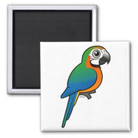 Harlequin Macaw Square Magnet