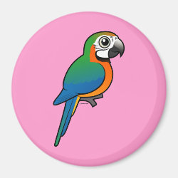 Harlequin Macaw Round Magnet