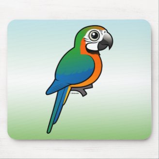 Harlequin Macaw Mousepad