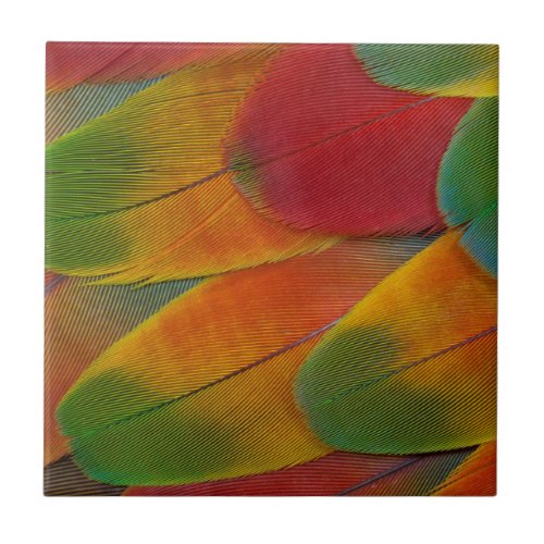 Harlequin Macaw parrot feathers Ceramic Tile