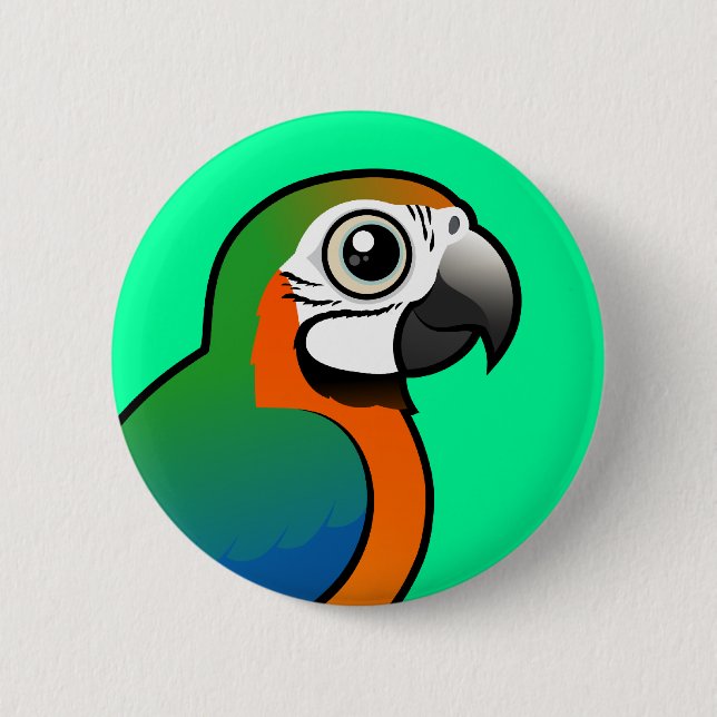 Harlequin Macaw Pinback Button (Front)