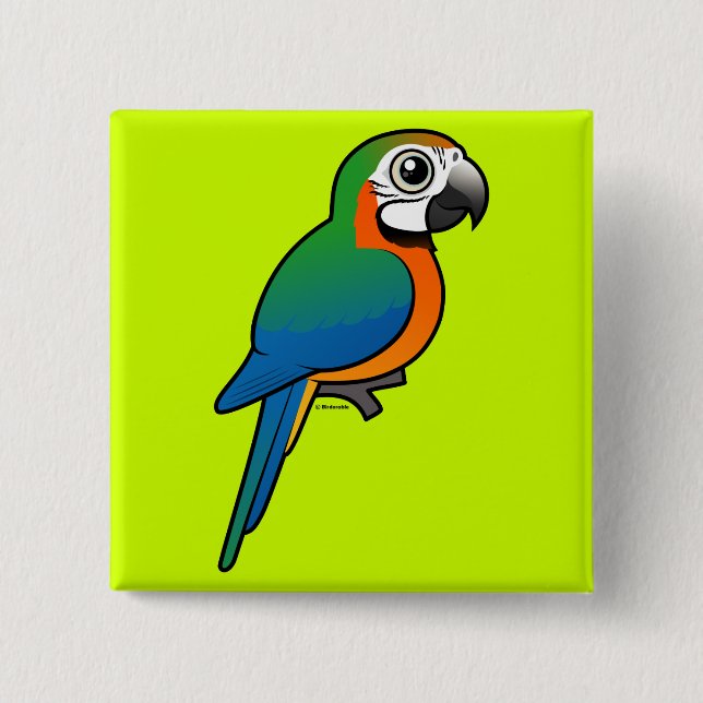 Harlequin Macaw Pinback Button (Front)
