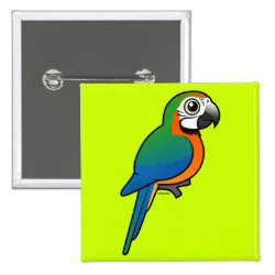 Harlequin Macaw Square Button