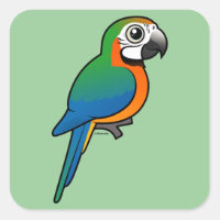 Harlequin Macaw Square Sticker