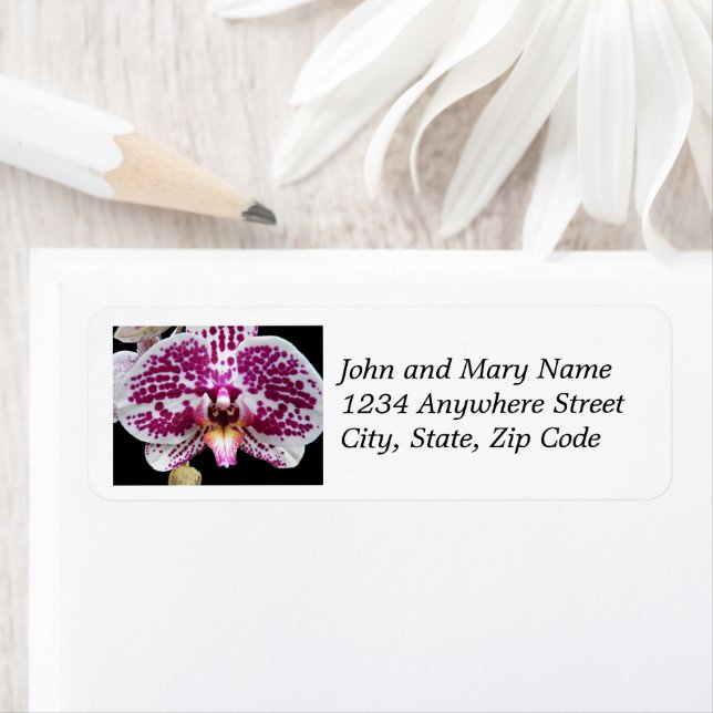 Harlequin Phalaenopsis Orchid Floral Address Label (Insitu)