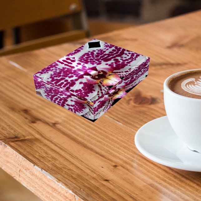 Harlequin Phalaenopsis Orchid Floral Paperweight (In Situ)