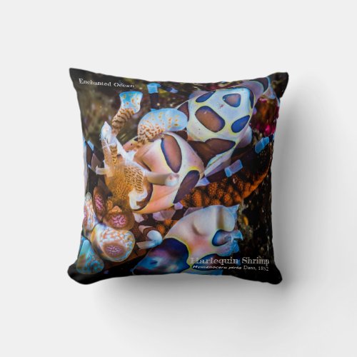 Harlequin Shrimp Hymenocera picta Throw Pillow