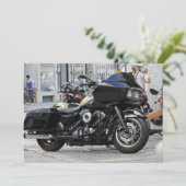 Harley (Standing Front)