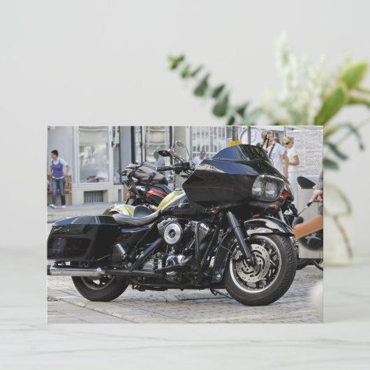 Harley (Standing Front)