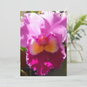 Harlinde (Standing Front)