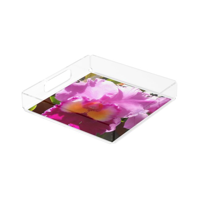 Harlinde Acrylic Tray (Angled)