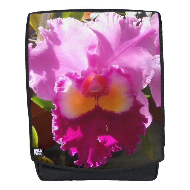 Harlinde Backpack (Front)