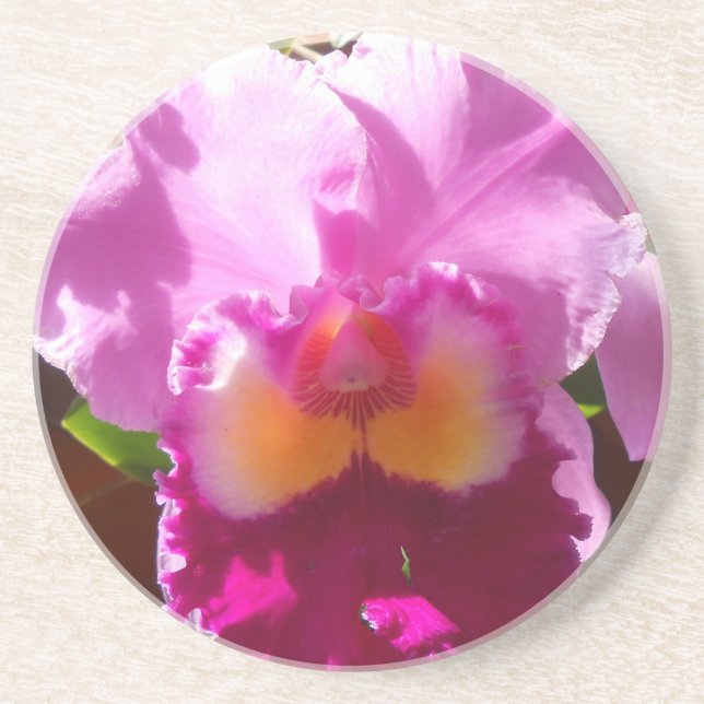 Harlinde Drink Coaster (Front)