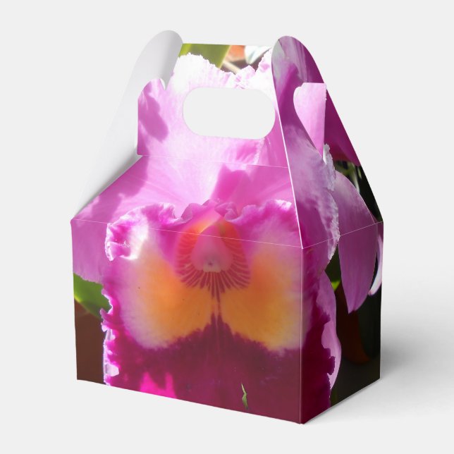 Harlinde Favor Boxes (Front Side)