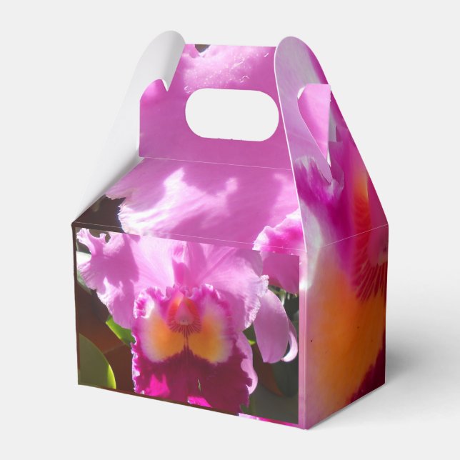 Harlinde Favor Boxes (Back Side)