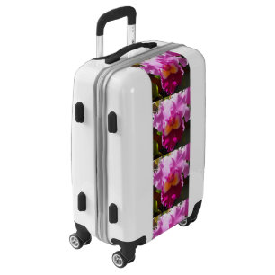 Harlinde Luggage