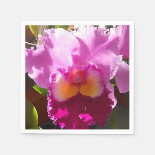 Harlinde Paper Napkins (Front)