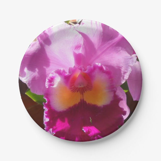 Harlinde Paper Plates (Front)