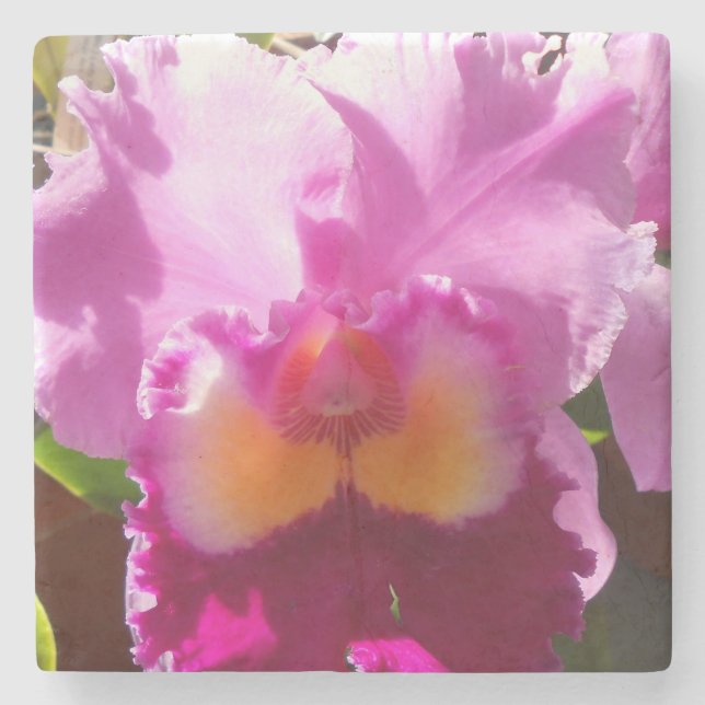 Harlinde Stone Coaster (Front)