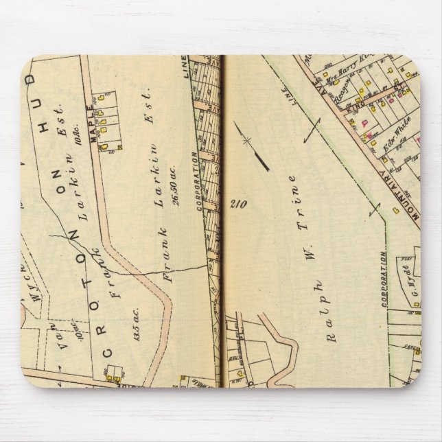 Harmon Park, New York Mouse Pad (Front)