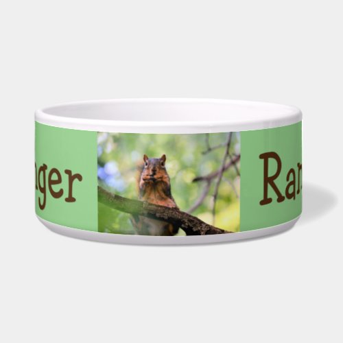 Harmonica squirrel bowl