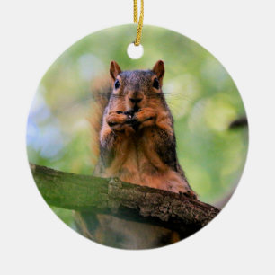 Harmonica squirrel ceramic ornament