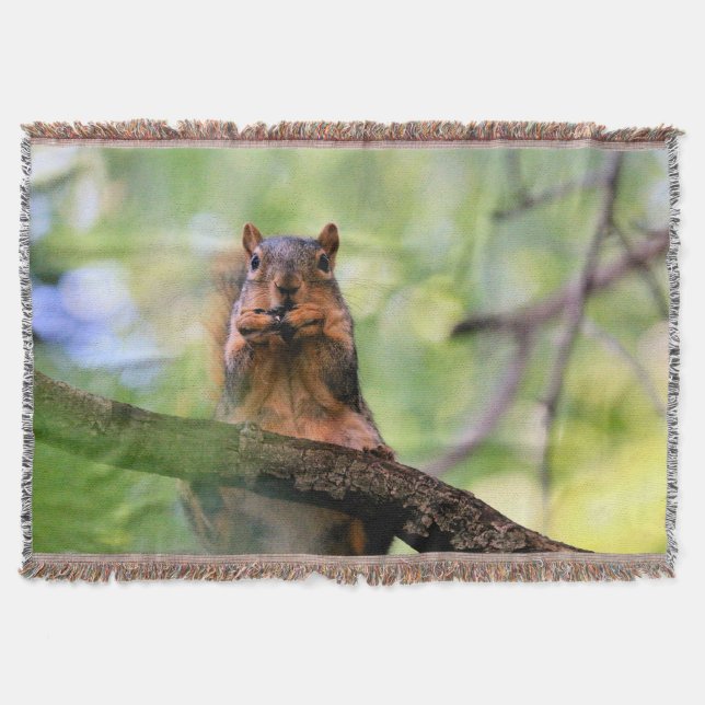 Harmonica squirrel throw blanket (Front)