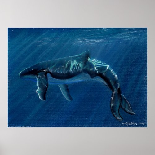 Harmonious Humpback Whale Canvas Print