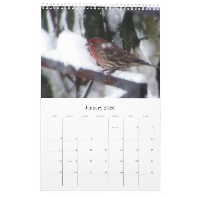 Harmony Calendar (Jan 2026)