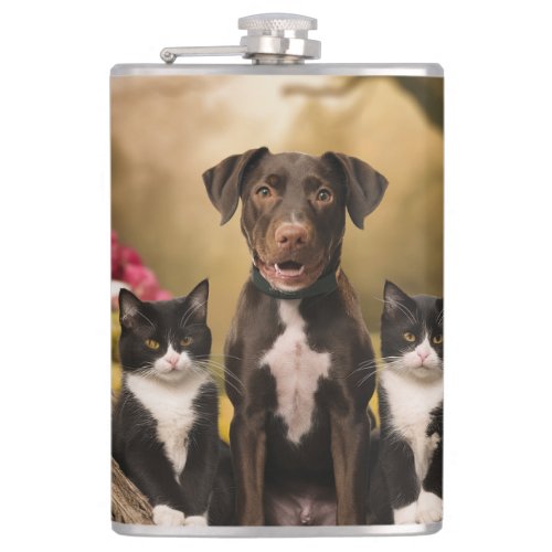 Harmony in Fur A Pet Family Portrait Flask